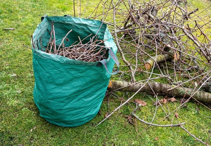 Punti raccolta del verde Calamità Grandinata 7 luglio 2024 Quattordio 